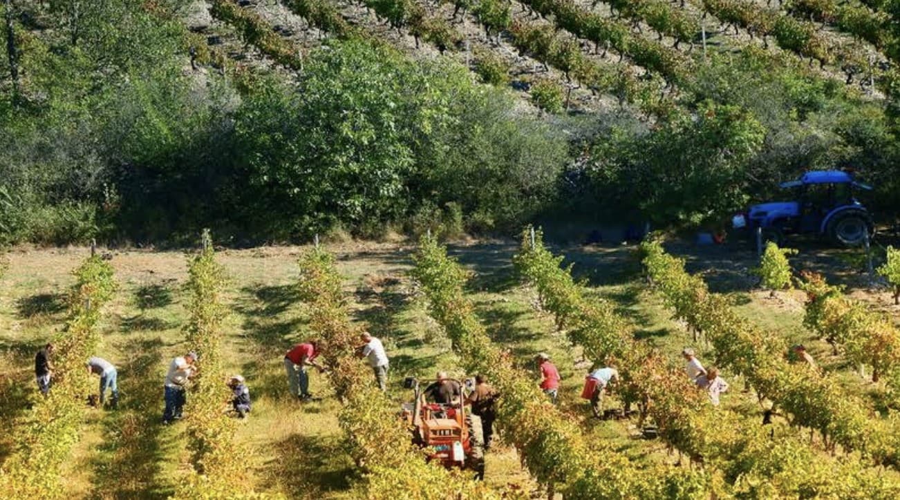 Val d'Iris — Dégustation de vins dans les collines provençales